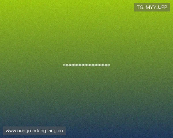 鲸鱼体育安卓官方下载安装最新版体验指南与功能特色全面解析深度解读