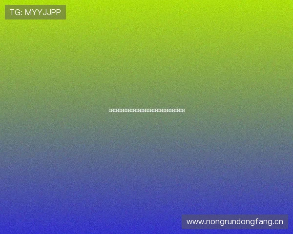 乐竞体育官方网站：全面探索体育竞技新趋势，打造专业运动平台体验