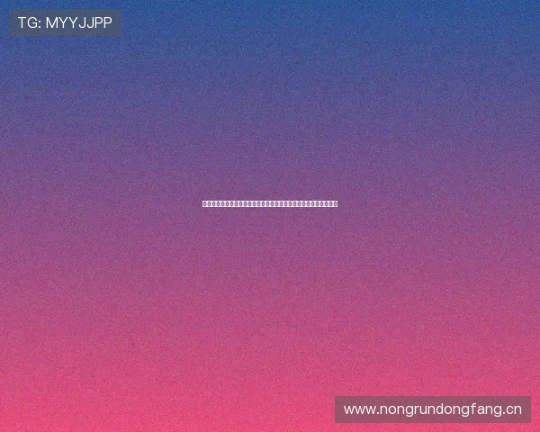 山猫足球直播免费观看入口全程高清直播在线观看平台最新链接分享